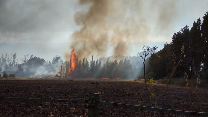 Siracusa, vasto incendio alla Fonte Ciane. In fiamme ettari di vegetazione